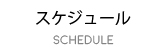 スケジュール